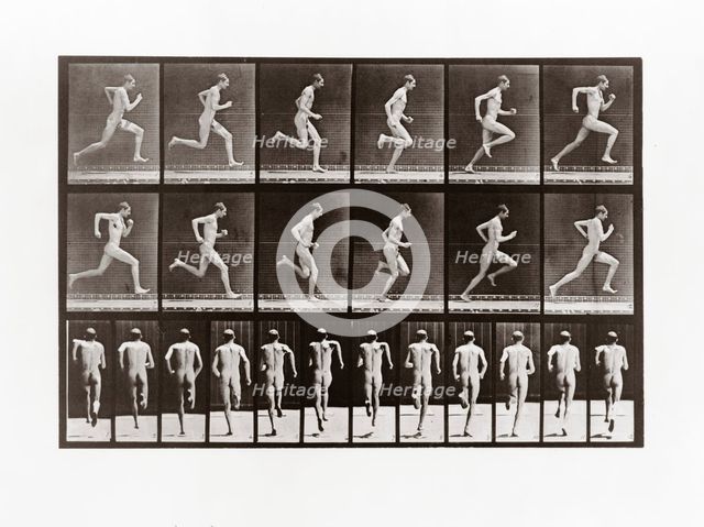 Man running, Plate 62 from Animal Locomotion, 1887 (photograph)