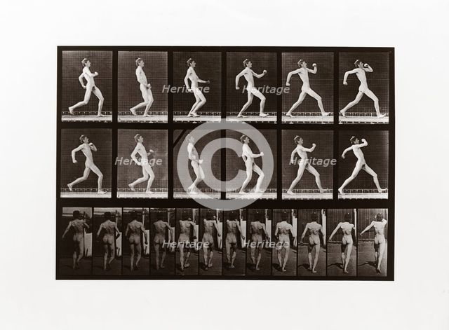Man running, Plate 7 from Animal Locomotion, 1887 (photograph)