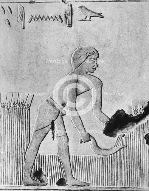 Man reaping barley with a sickle, probably of wood set with flint, Ancient Egyptian, c240 BC. Artist: Unknown
