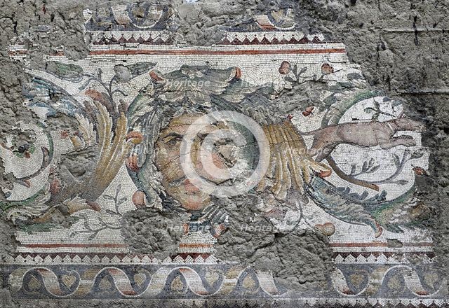 Man's face, mosaic pavement in the Great Palace of Constantinople, 4th-6th century. Creator: LTL.