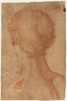 Man's Head from the Back, 16th century?. Creator: Unknown