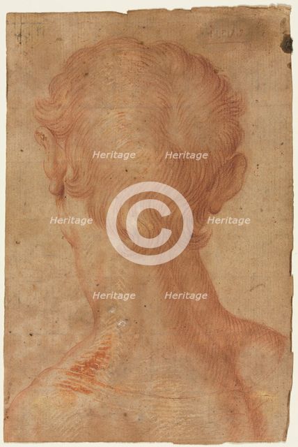 Man's Head from the Back, 16th century?. Creator: Unknown.