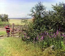 Man standing near fence and bushes, 1909. Creator: Sergey Mikhaylovich Prokudin-Gorsky