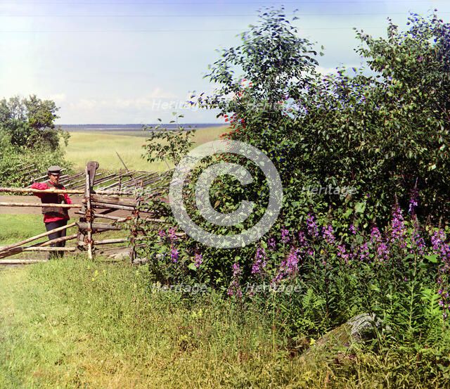 Man standing near fence and bushes, 1909. Creator: Sergey Mikhaylovich Prokudin-Gorsky.