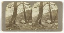Man standing on a fallen tree, late 19th century. Creator: London Stereoscopic & Photographic Co