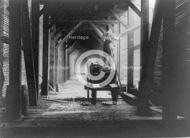 Man standing on boards on cart in sawmill and stacking the boards, Duluth vicinity, Minnesota, 1903. Creator: Frances Benjamin Johnston.