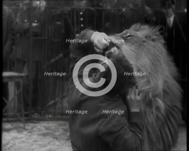 Man Sticking his Head in a Lion’s Mouth, 1930s. Creator: British Pathe Ltd.