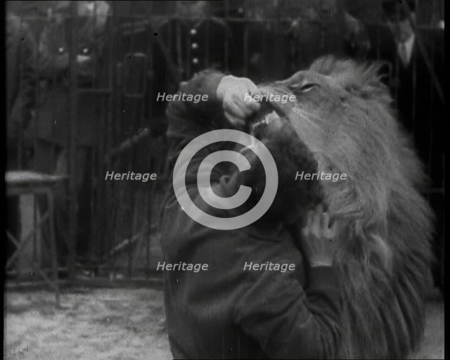 Man Sticking his Head in a Lion’s Mouth, 1930s. Creator: British Pathe Ltd.