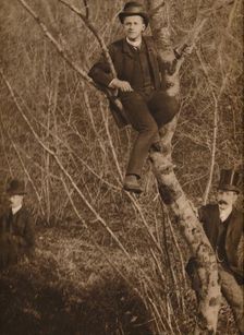 Man sat in a tree 1937. Artist: Louis Guichard