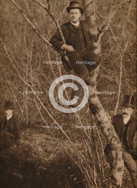 'Man sat in a tree', 1937. Artist: Louis Guichard.