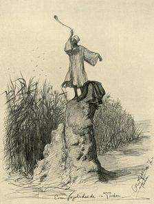 Man scaring birds, Thebes, Egypt, 1898. Creator: Christian Wilhelm Allers