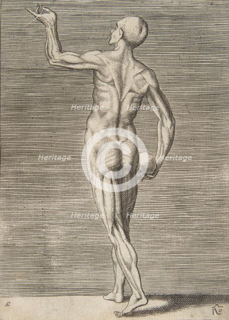 Man seen from the Back, holding a Skull in his right Hand, 16th century. Creator: Giulio Bonasone.