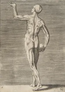 Man seen from the Back, holding a Skull in his right Hand, 16th century. Creator: Giulio Bonasone