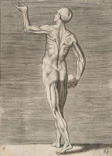 Man seen from the Back, holding a Skull in his right Hand, 16th century. Creator: Giulio Bonasone