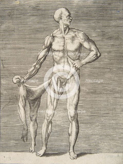 Man seen from the Front, holding the Skin of his right Arm and Leg in his right Ha..., 16th century. Creator: Giulio Bonasone.