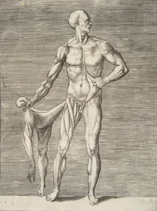 Man seen from the Front, holding the Skin of his right Arm and Leg in his right Ha..., 16th century. Creator: Giulio Bonasone