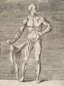 Man seen from the Front, holding the Skin of his right Arm and Leg in his right Ha..., 16th century. Creator: Giulio Bonasone