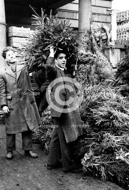 Man selling a Christmas tree, Covent Garden Market, London, 1952. Creator: Henry Grant.