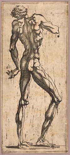 Man Turning His Head to the Left, c. 1543. Creator: Juste de Juste