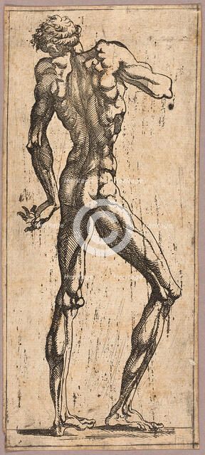 Man Turning His Head to the Left, c. 1543. Creator: Juste de Juste.