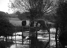 Man taking part in the Bugatti Owners Club car treasure hunt, 25 October 1931. Artist: Bill Brunell