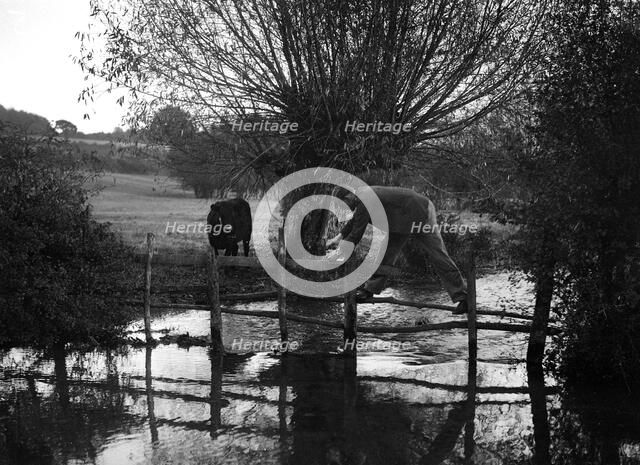 Man taking part in the Bugatti Owners Club car treasure hunt, 25 October 1931. Artist: Bill Brunell.