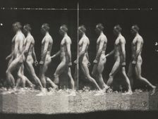 [Man Walking, "Stroboscopic" Photograph], 1880s, printed 1930s-40s., 1880s, printed 1930s-40s. Creator: Thomas Eakins