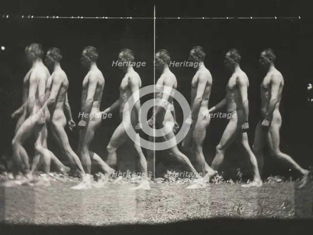 [Man Walking, "Stroboscopic" Photograph], 1880s, printed 1930s-40s., 1880s, printed 1930s-40s. Creator: Thomas Eakins.