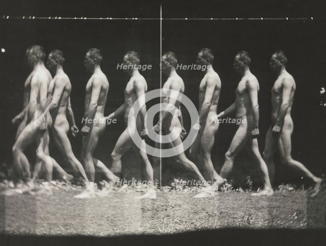 [Man Walking, "Stroboscopic" Photograph], 1880s, printed 1930s-40s., 1880s, printed 1930s-40s. Creator: Thomas Eakins.