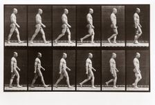 Man walking, Plate 6 from Animal Locomotion, 1887 (photograph)