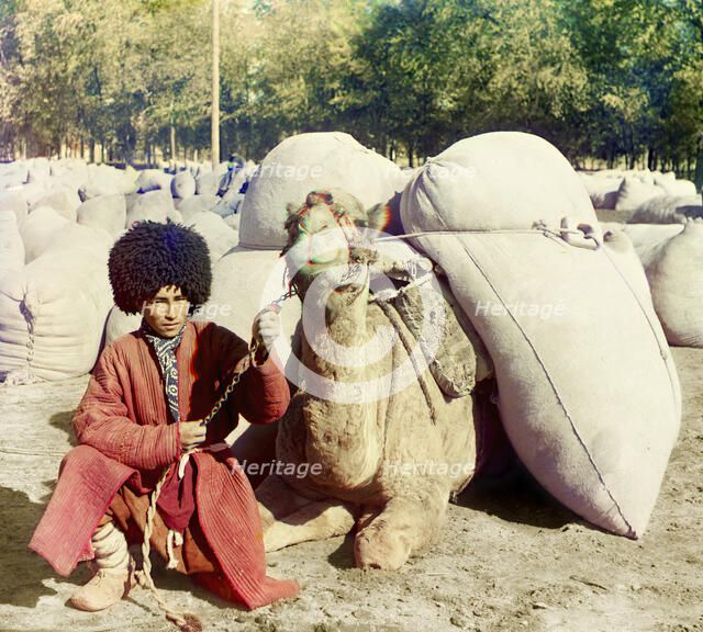 Man with camel loaded with packs, between 1905 and 1915. Creator: Sergey Mikhaylovich Prokudin-Gorsky.