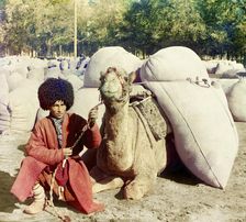 Man with camel loaded with packs, between 1905 and 1915. Creator: Sergey Mikhaylovich Prokudin-Gorsky