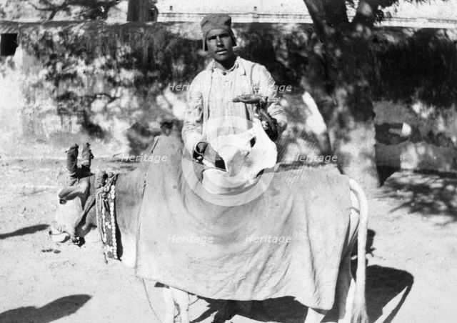 Man with a deformed cow, India, 1916-1917. Artist: Unknown