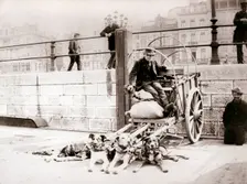 Man with dogcart, Antwerp, 1898.Artist: James Batkin