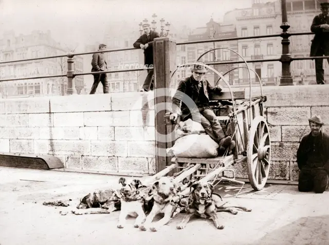 Man with dogcart, Antwerp, 1898.Artist: James Batkin