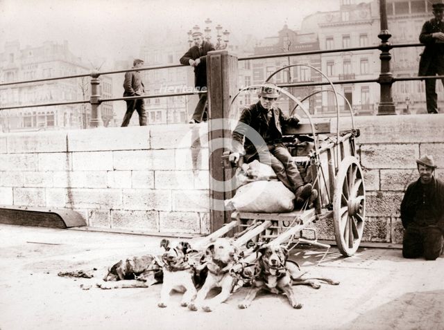 Man with dogcart, Antwerp, 1898.Artist: James Batkin