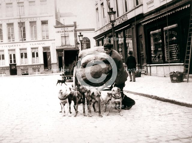 Man with dogcart, Antwerp, 1898. Artist: James Batkin