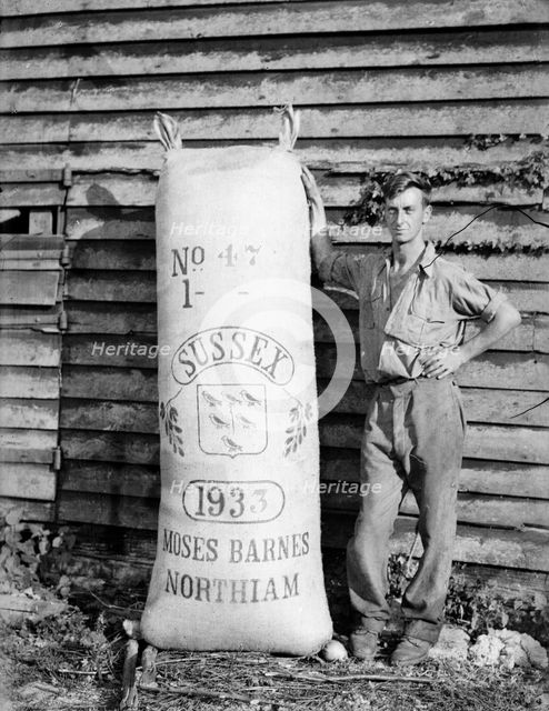 Man with hop sack at Great Dixter, East Sussex, 1933. Artist: Nathaniel Lloyd