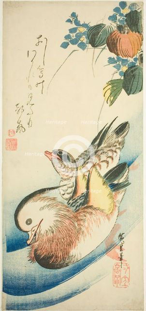 Mandarin ducks, 1830s. Creator: Ando Hiroshige.