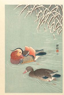 Mandarin ducks, 1925-1936. Creator: Ohara, Koson (1877-1945)