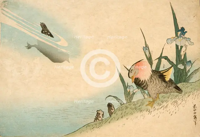 Mandarin Ducks, 19th century. Creator: Hokusai.