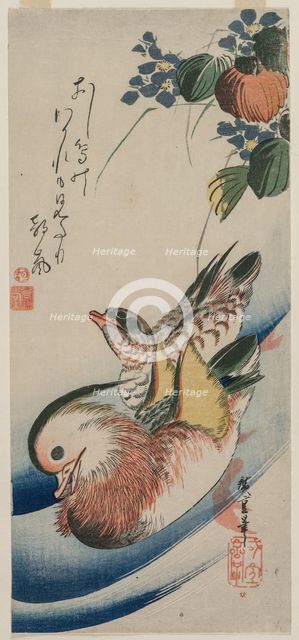 Mandarin Ducks and Flowering Plants, early or mid-1830s. Creator: Ando Hiroshige (Japanese, 1797-1858).