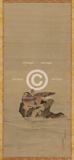 Mandarin ducks, Edo period, 18th century. Creator: Maruyama Okyo.