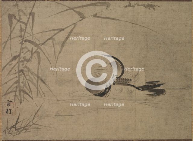 Mandarin Duck, 1500s. Creator: Sesson Sh?kei (Japanese, 1504-1589).