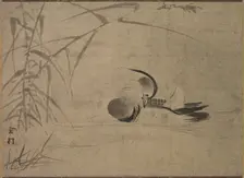 Mandarin Duck, 1500s. Creator: Sesson Sh?kei (Japanese, 1504-1589)