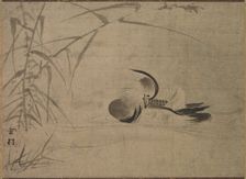 Mandarin Duck, 1500s. Creator: Sesson Sh?kei (Japanese, 1504-1589)
