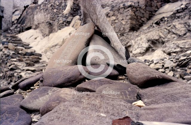 Mani stones, Ladakh, India, 1988. Creator: Amanda Waite.