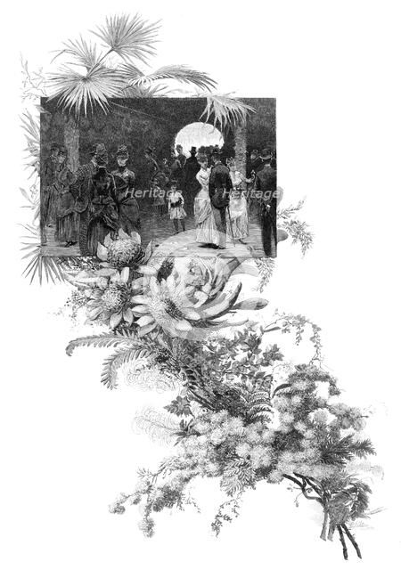 Manly wild flower show, Sydney, New South Wales, Australia, 1886. Artist: Unknown