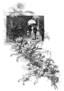 Manly wild flower show, Sydney, New South Wales, Australia, 1886