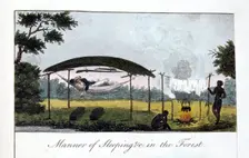 Manner of Sleeping in the Forest 1813. Artist: John Gabriel Stedman